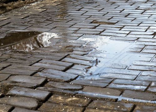 +74996410011 звонок из Формула ЛСР