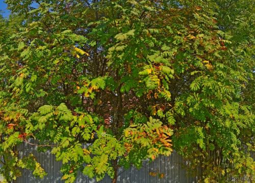 +74996410083 звонок из Компрессоры и компрессорное оборудование