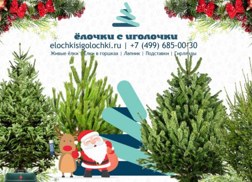 +74996850030 звонок из Интернет-магазин Ёлочки с иголочки