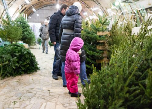 +74996850030 звонок из Интернет-магазин Ёлочки с иголочки