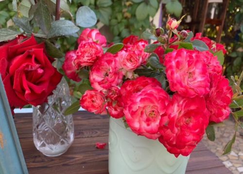 +77051022244 звонок из Гарденмарт