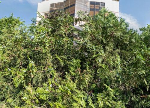 +77273572091 звонок из НИПИнефтегаз