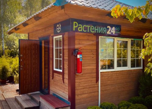 +78003010028 звонок из Растения24