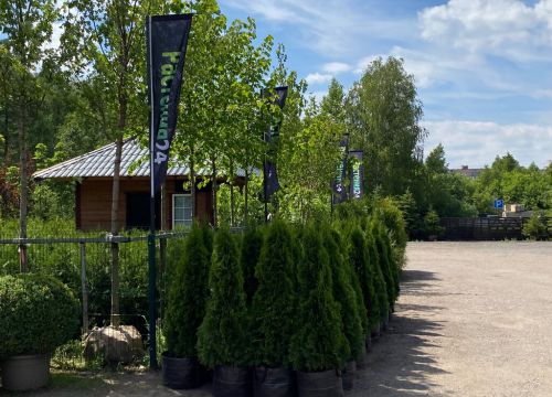 +78003010028 звонок из Растения24