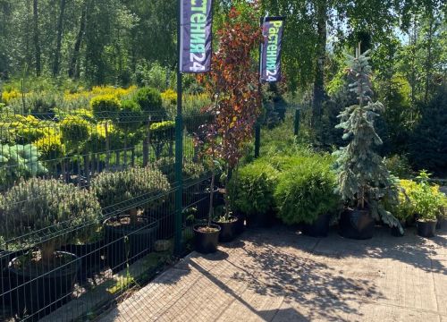 +78003010028 звонок из Растения24