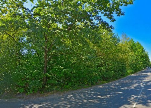 +78003010114 звонок из Мои автобусы