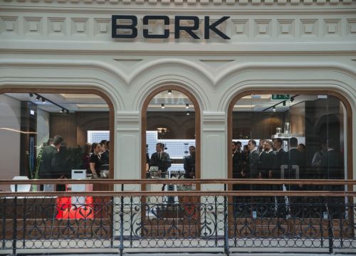 +78005500067 звонок из BORK