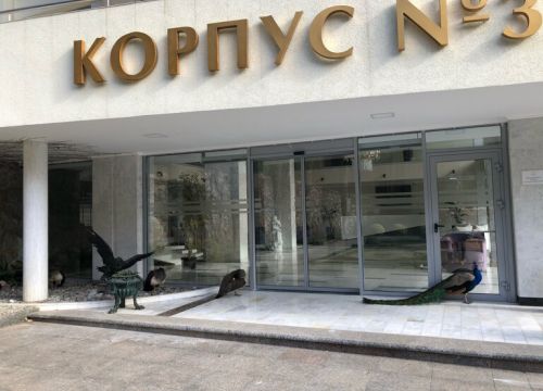 +78007770097 звонок из Айвазовское