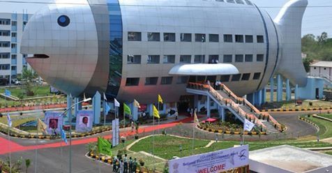 +78123345420 звонок из Рыбообрабатывающий комбинат № 5