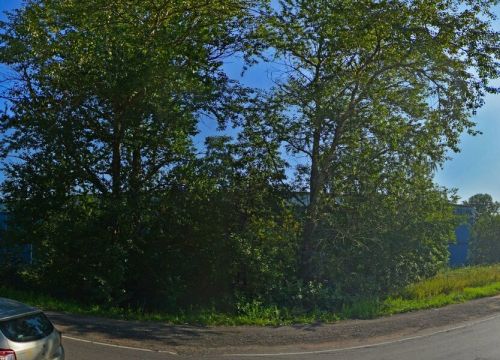 +78124091888 звонок из Альянс-Спб