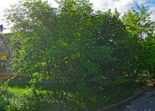 +78129158060 звонок из NickParts.ru