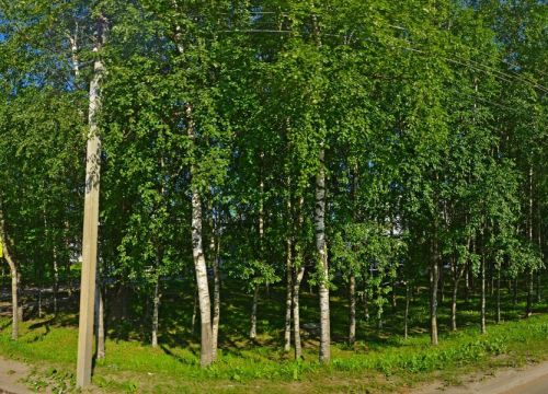 +78162770770 звонок из Территориальный фонд обязательного медицинского страхования Новгородской области