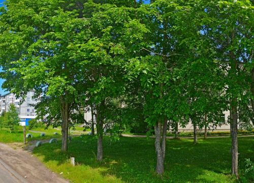 +78182602220 звонок из Уемская Районная больница