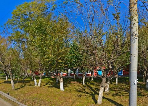 +78312410744 звонок из Медиана