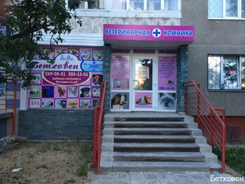 +78312690551 звонок из Бетховен