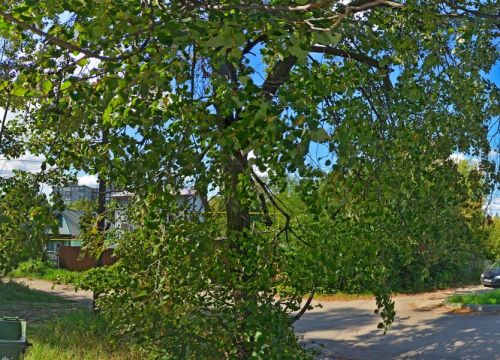 +78312740012 звонок из ИП Широков С. В.