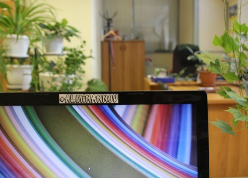 +78312880110 звонок из Алмина