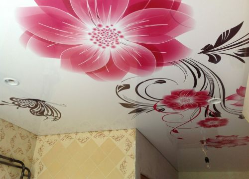 +78314536363 звонок из Астра дизайн