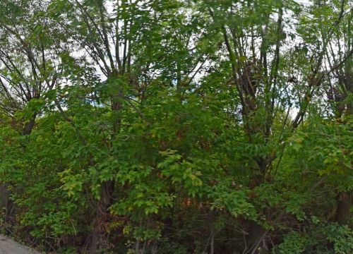 +78412470000 звонок из Пензенское линейно-производственное управление магистральных газопроводов