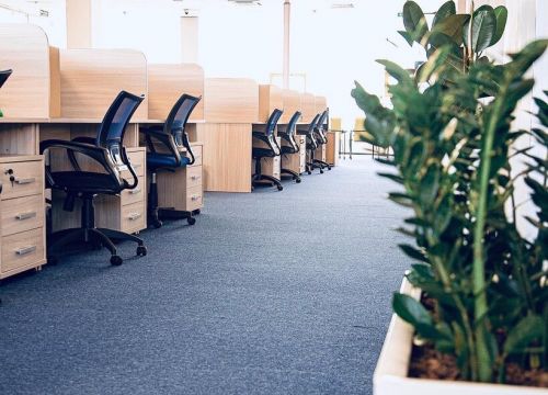 +78422370646 звонок из IBS