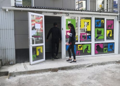 +78422544581 звонок из Доктор Зоо