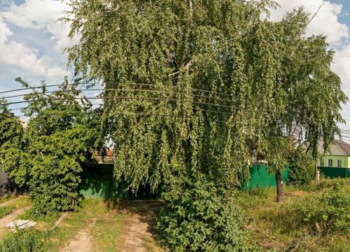 +78452661661 звонок из Региональная строительная компания