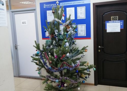 +78619910081 звонок из Югория