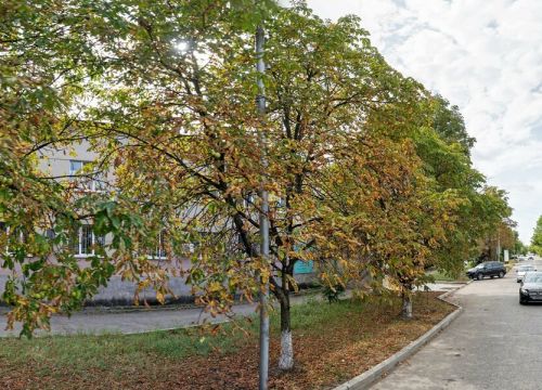 +78792262026 звонок из Управление архитектуры и градостроительства администрации Минераловодского городского округа