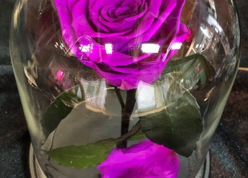 +79000313241 звонок из Kompliment