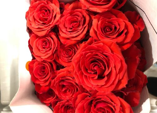 +79000313241 звонок из Kompliment