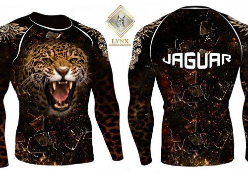 +79000572169 звонок из Lynx