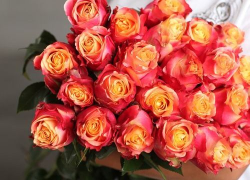 +79001231923 звонок из Цветмаркет.рф