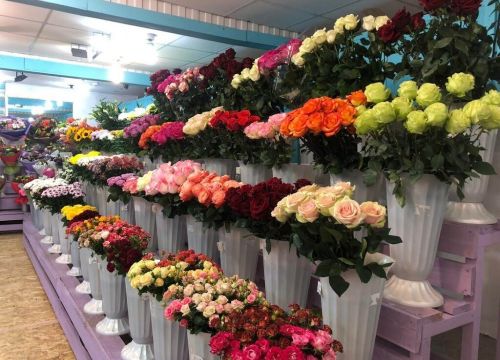 +79001231923 звонок из Цветмаркет.рф