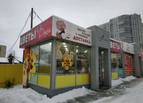 +79002090809 звонок из Mi Amore