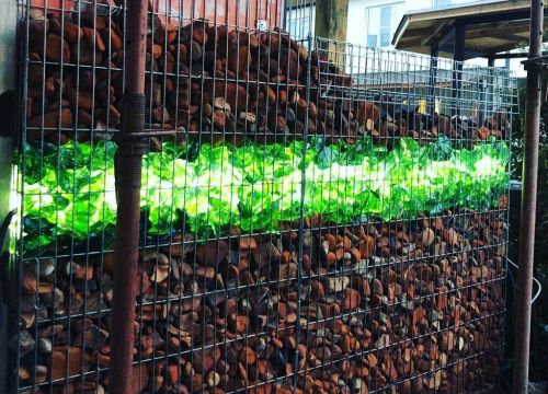 +79002651599 звонок из Дорожное полотно