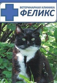 +79005771279 звонок из Феликс