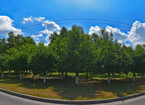 +79005843700 звонок из Api Media