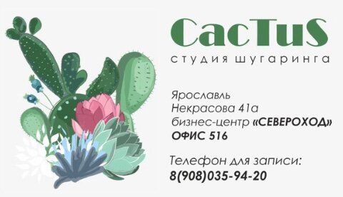 +79011739973 звонок из Cactus
