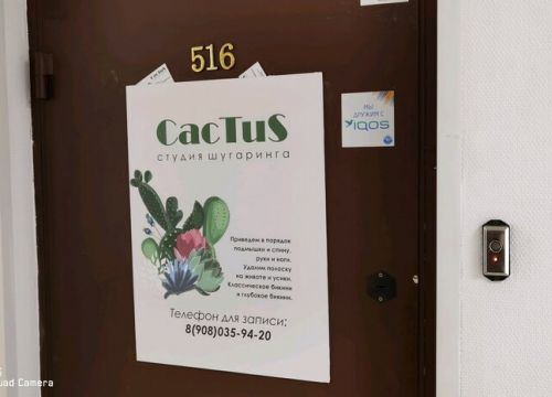 +79011739973 звонок из Cactus