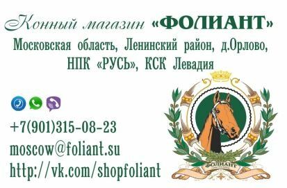 +79013150823 звонок из Фолиант