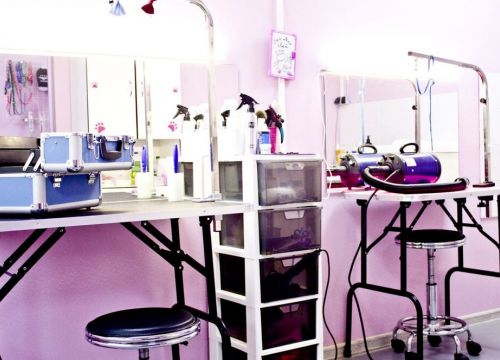 +79013650838 звонок из УшиЛапыХвост