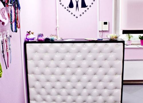 +79013650838 звонок из УшиЛапыХвост