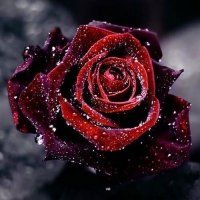 +79014542977 звонок из Мир алмазной вышивки