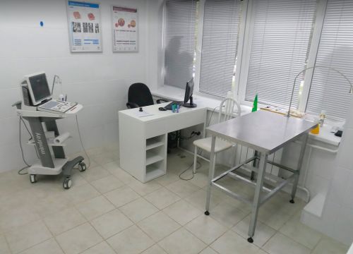 +79015421485 звонок из К9-Вет