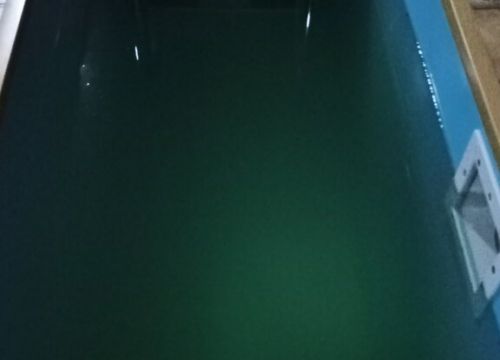 +79020900800 звонок из Камышинский Оазис