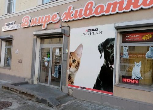 +79022643689 звонок из Миска Маркет