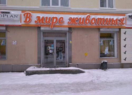 +79022643689 звонок из Миска Маркет