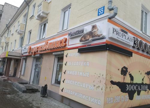 +79022643689 звонок из Миска Маркет