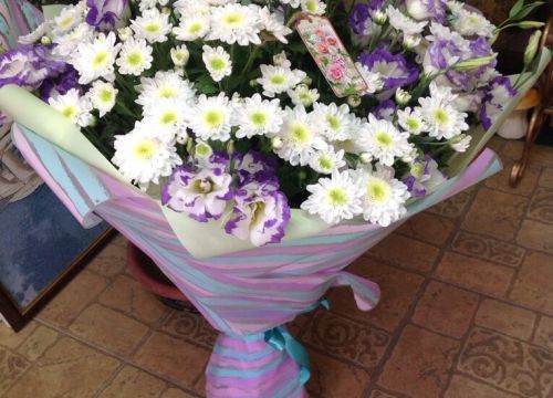 +79023111240 звонок из Цветы