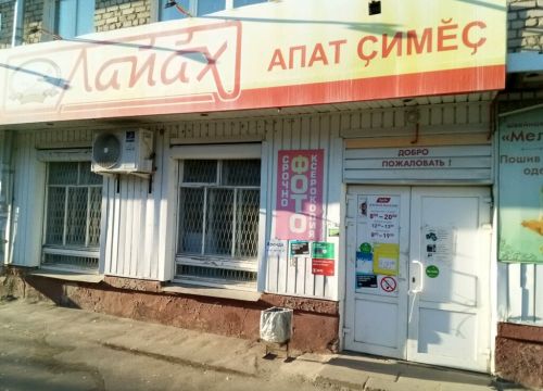 +79023281470 звонок из Фокус